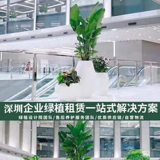 办公室盆栽雅萱园艺绿植租摆租赁