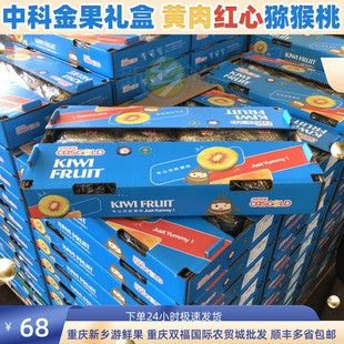 重庆双福水果 包邮 新鲜礼盒送礼当季 中科金果红心猕猴桃整箱32个装