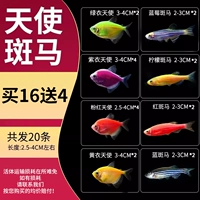 Зебра, 2.5-4см, 16 шт, 4 шт, 20 шт