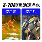 新品 置室外大 鱼池过滤器养鱼水循环u系统设备净化鱼塘过滤箱桶装