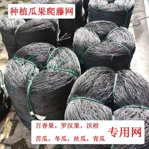 百香果爬藤网苦瓜网葫芦网