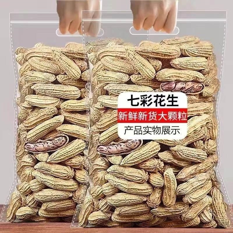 新货云南七彩花生带壳生熟七彩野地花生米黑花生种子特级普洱特产
