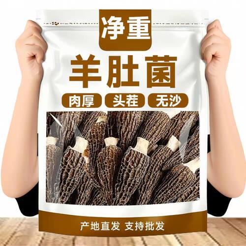 云南自然生长羊肚菌头茬新鲜菌菇汤包煲汤食材儿童蘑菇菌子干货