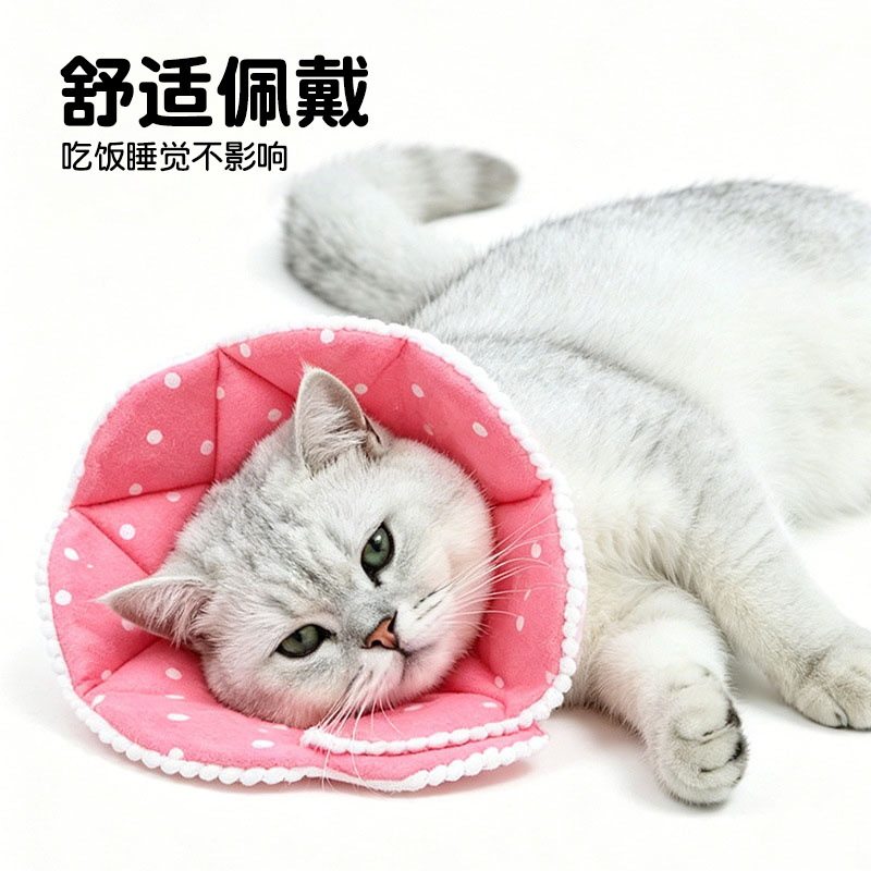 狗伊丽莎白圈狗项圈猫脖