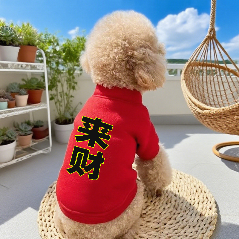 新年款小狗卫衣宠物狗狗衣服