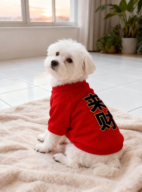 小狗狗衣服秋冬款季薄绒宠物衣服黑色泰迪柯基比熊幼犬小型犬狗狗