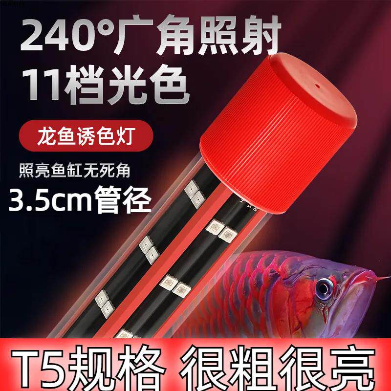 档LEDT55D龙鱼灯广角顶灯变色大11防水鱼缸神灯增艳灯新款潜水