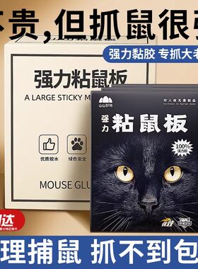 加厚超粘，大老鼠跑不掉