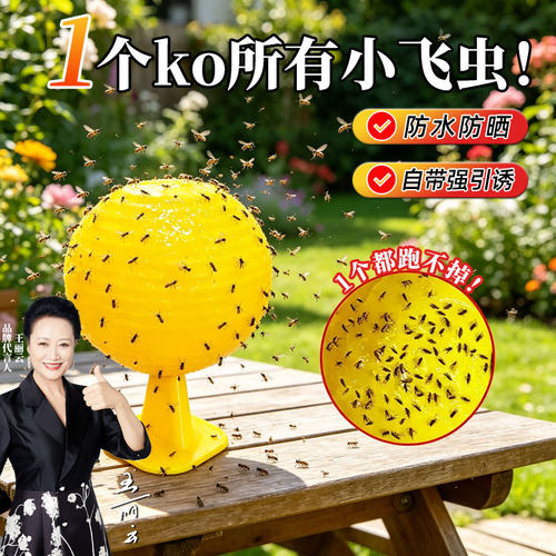 全网热卖100W┃爆款果蝇捕捉神器