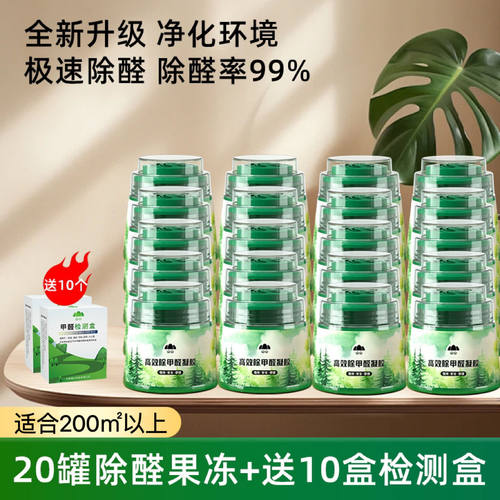 【天猫甄选】除甲醛新房装修家用