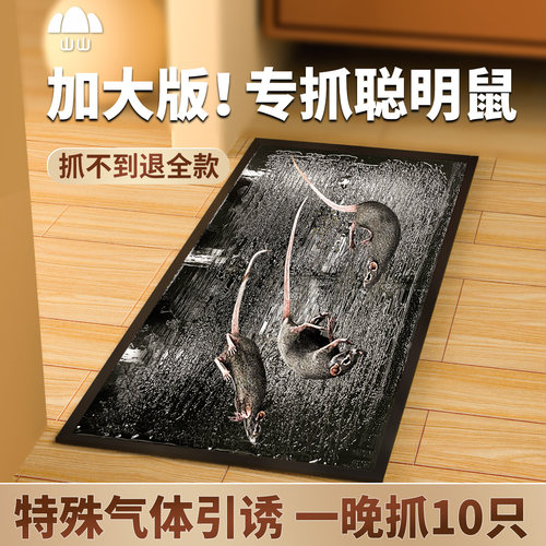 强力粘鼠板粘性升级时间持久