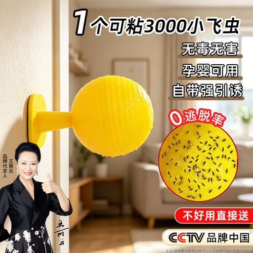【热卖100W+】爆款灭小飞虫神器