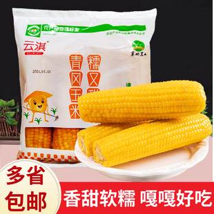 青冈云淇甜糯玉米棒速冻A级4支新鲜儿童软糯香甜速冻粘糯玉米家用