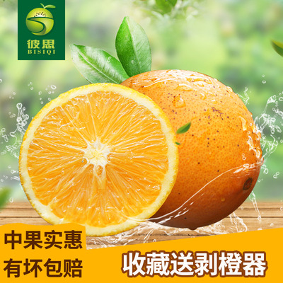 江西赣南脐橙橙子甜橙柑橘鲜橙手剥橙新鲜采摘水果