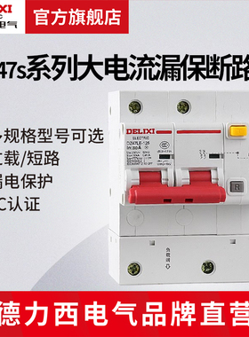 德力西电气断路器大电流100a大功率家用电闸开关漏电保护D型空开