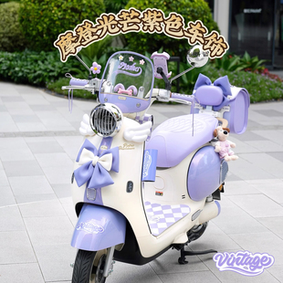 适用于雅迪摩登光芒70棣王紫装饰电动车后备箱脚垫手机支架挂包