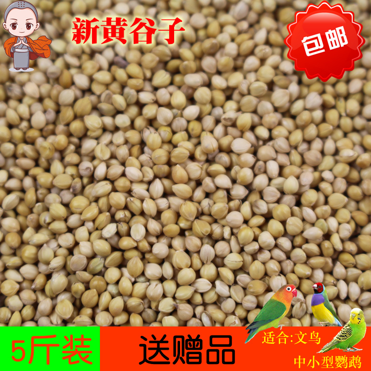包邮黄谷子带壳小米5虎皮牡丹