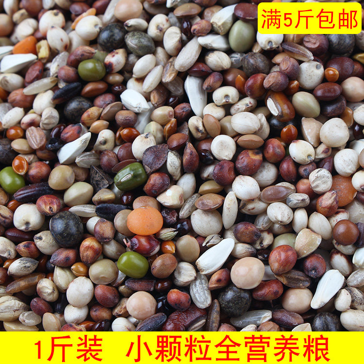 满5斤包邮品冠小种子鸽粮试吃魔鬼小颗粒幼鸽粮斑鸠仓鼠粮食饲料