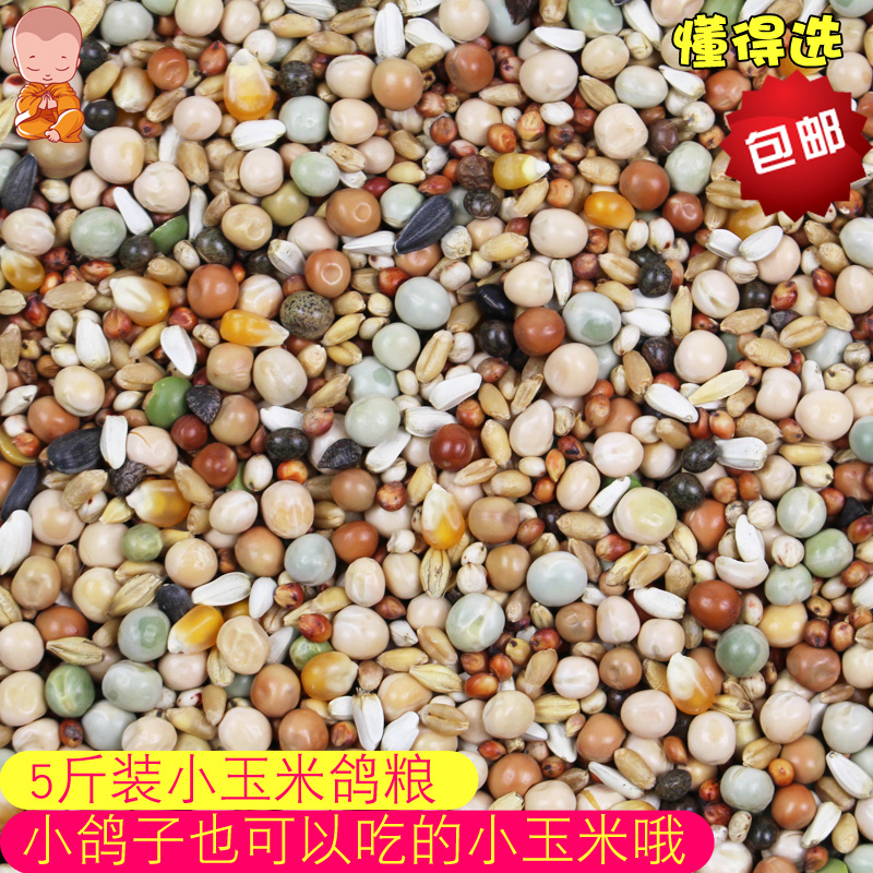 小玉米幼鸽赛飞营养粮斑鸠粮