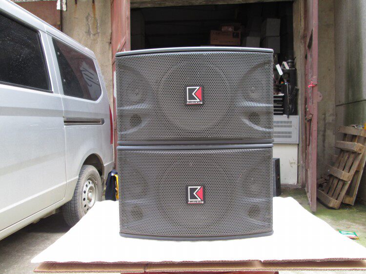 特价原装台湾声皇OK100B包房舞台会议室酒吧演出专用音箱音响正品