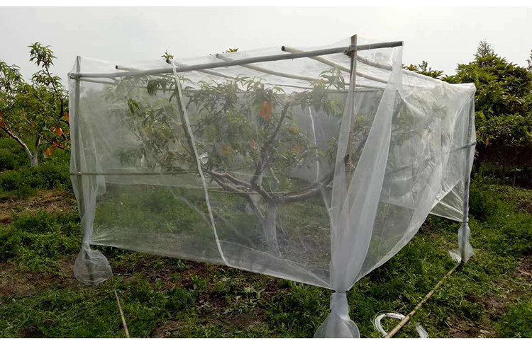 60目加厚种菜防虫网罩果树加厚养殖防鸟水果杨梅专用家用抗拉耐磨
