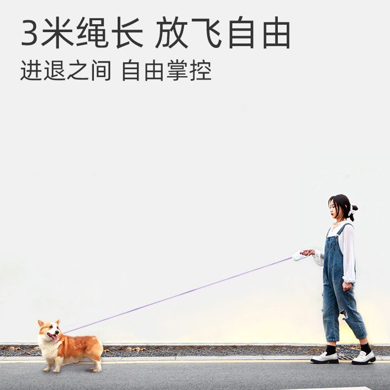 夜间发光自动伸缩牵引绳 防爆冲遛狗绳 猫狗通用宠物遛弯狗链子