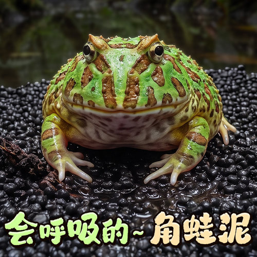 爬宠角蛙泥垫材黄金薄荷霸王角蛙专用两栖蛙泥生态饲养缸造景垫材