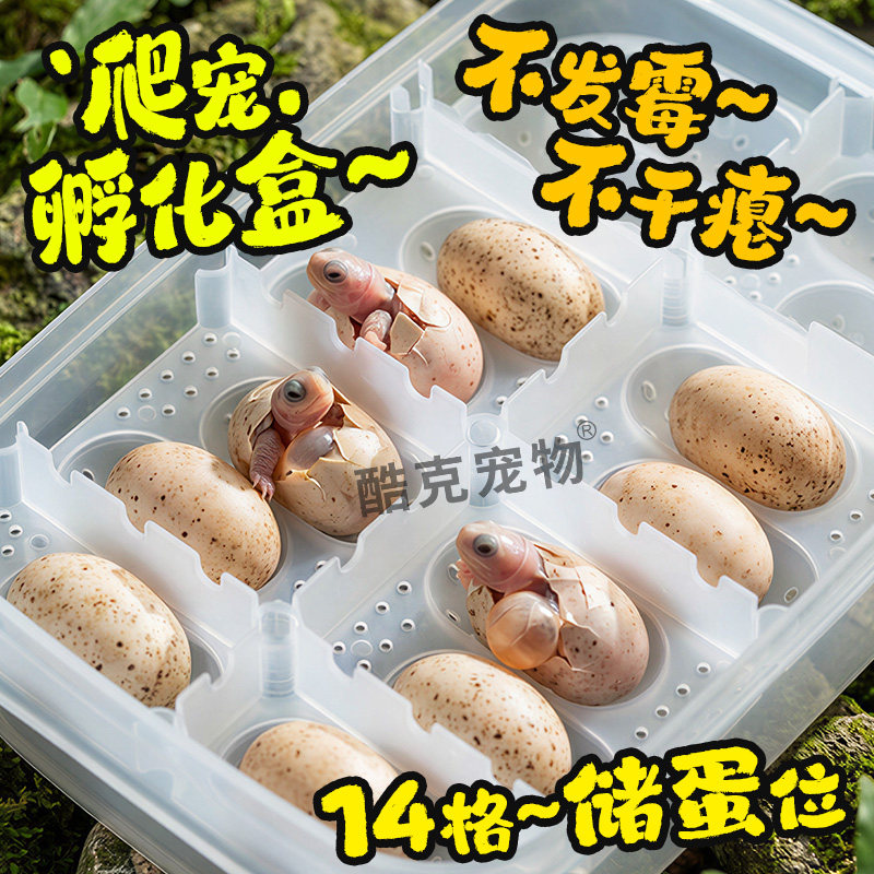 爬宠孵化盒孵化器蛋托守宫鬃狮蜥玩具蛇孵蛋器乌龟蛋专用14蛋位