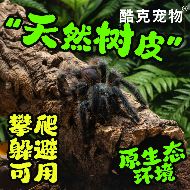 爬虫造景背景板守宫陆龟蛇饲养箱专用天然树皮生态躲避造景
