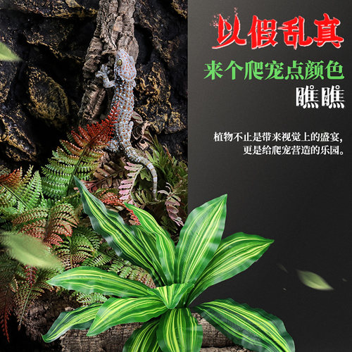 爬宠虫箱仿真雨林沙漠植物造景热带水龟箱仿生态绿色生态缸装饰