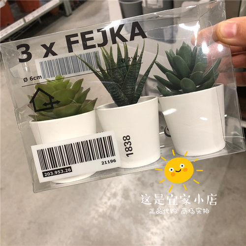 宜家植物销量排行榜 宜家植物品牌热度排名 小麦优选