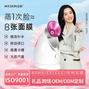金稻蒸脸器纳米喷雾补水仪热喷蒸脸美容仪蒸脸仪跨境KD2331A