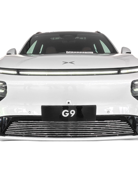小鹏G9大蜘蛛金属防虫网