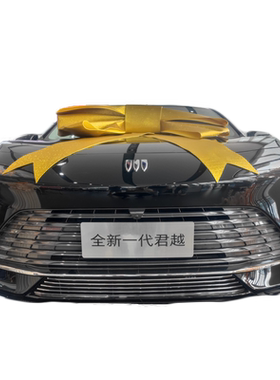 全新君越防虫防絮版中网套件