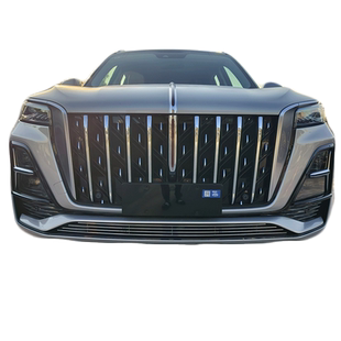 2023-2025款红旗HS5前脸前铲中网改装升级水箱防虫网防蚊虫防护网