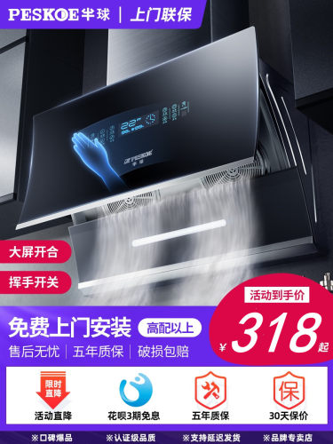半球双电机吸油畑抽油烟机侧吸式