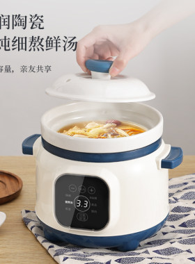 多功能白瓷电炖锅宝宝辅食家用BB煮粥锅小型全自动煲汤燕窝电炖盅