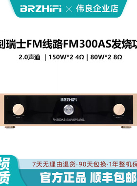 伟良大功率功放机FM300AS发烧hifi甲乙类后级音响直刻瑞士FM线路