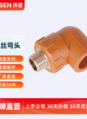 VASEN伟星管辉煌色PPR管配件4分20 6分25 阳螺纹外丝弯头外牙弯头