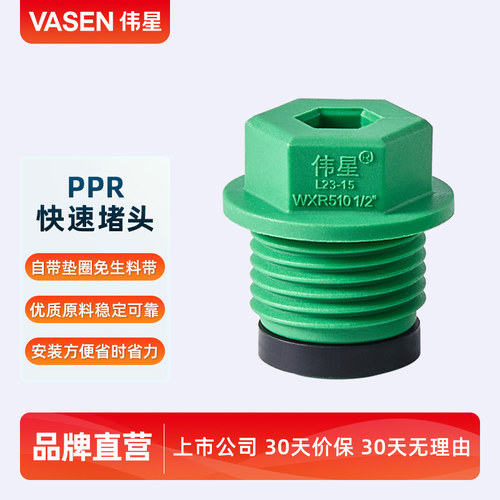 伟星PPR外丝堵头管堵4分