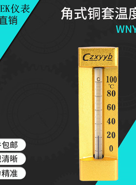 工业温度计 V型角型船用铜套温度计 WNY-12  100度  L=60mm  G1/2