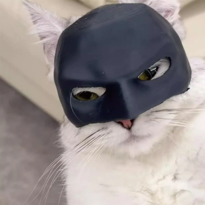 不在是凡猫小狗宠物COS道具3d