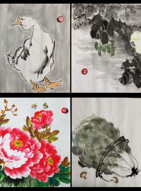 楼一阁书画 手绘原稿无款画芯小写意国画小品斗方花鸟客厅字画R67