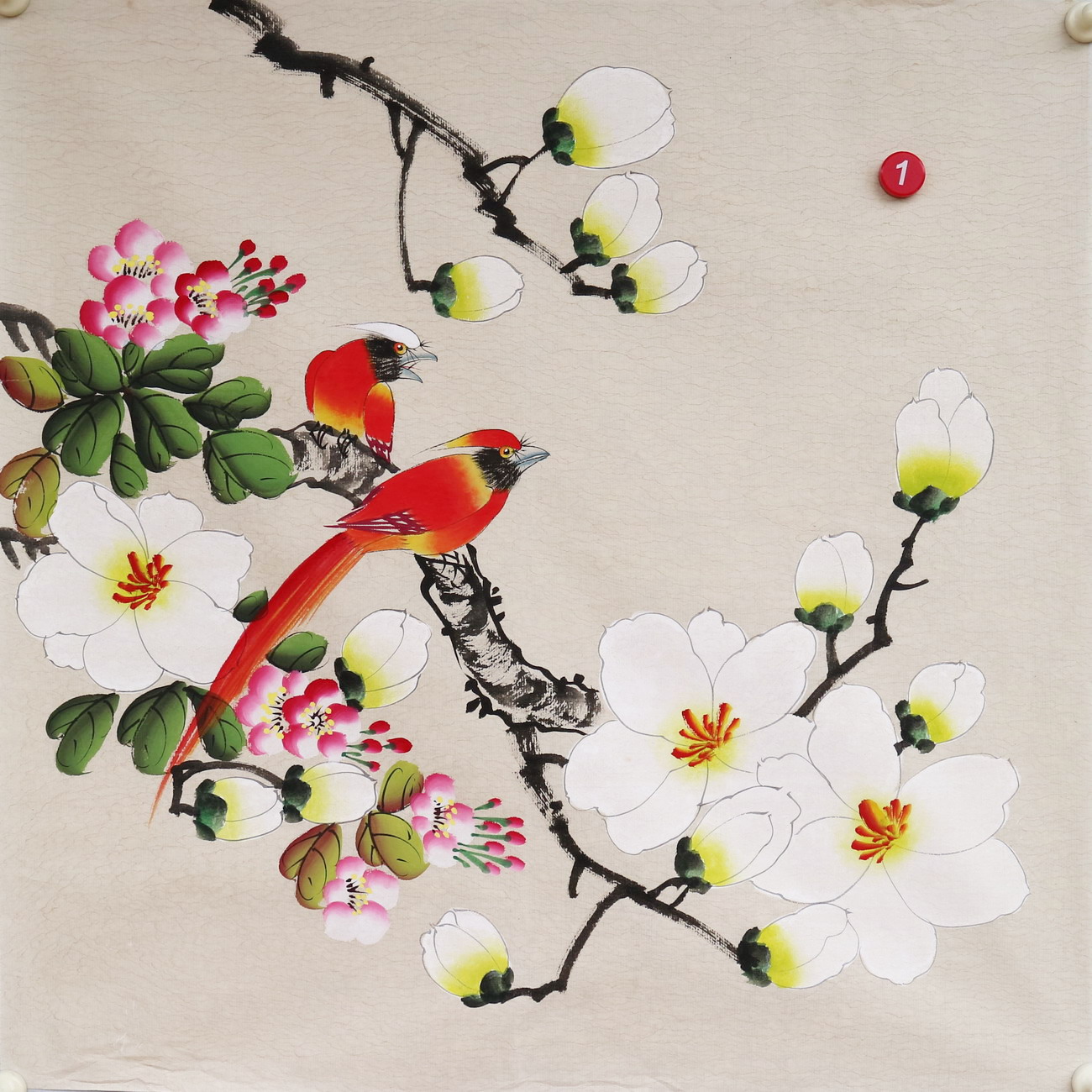 楼一阁书画无款三尺斗方小写意玉兰花鸟国画装饰字画特价RD561901