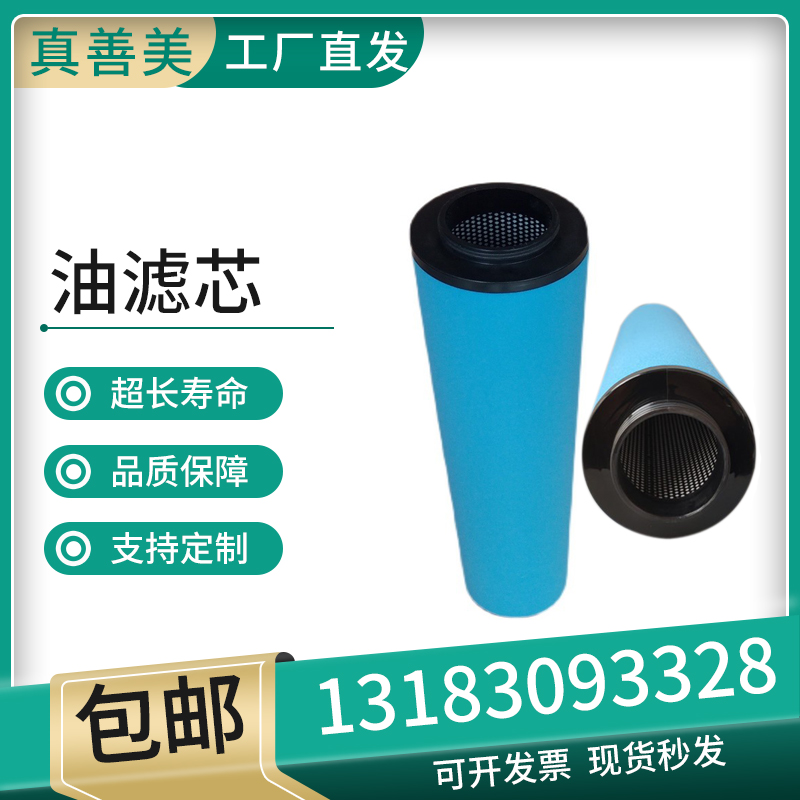 阿特拉斯1624188203精密滤芯