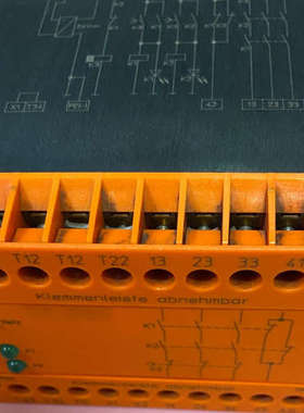 多德DOLDBN5930安全继电器BN5930.48 DC2