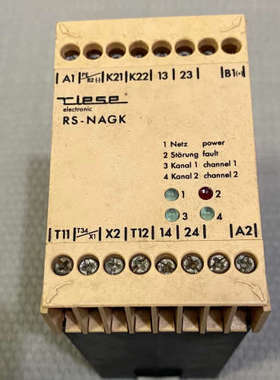 原装德国TLESE安全继电器RS-NAGK  AR.9662