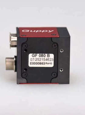 AVT GUPPY GF080B 单色 C 工业 二