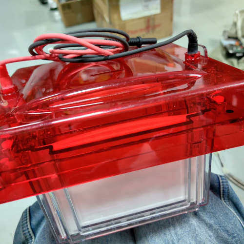 invitrogen 电泳槽，XCell4 SureLock