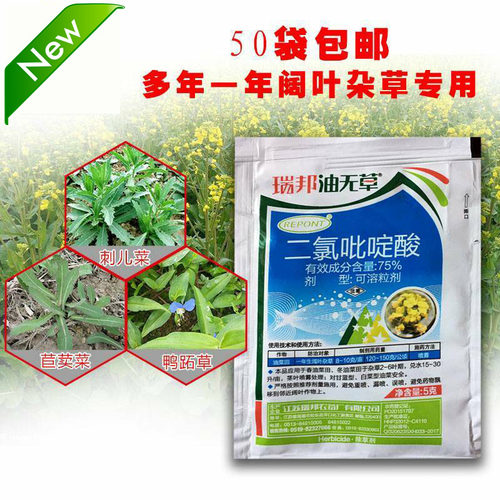 黄芩二氯吡啶酸刺菜茵陈除草剂